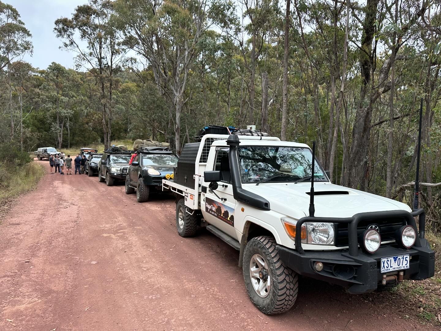Dingo Tracks 4WD convoy on an outback trail
