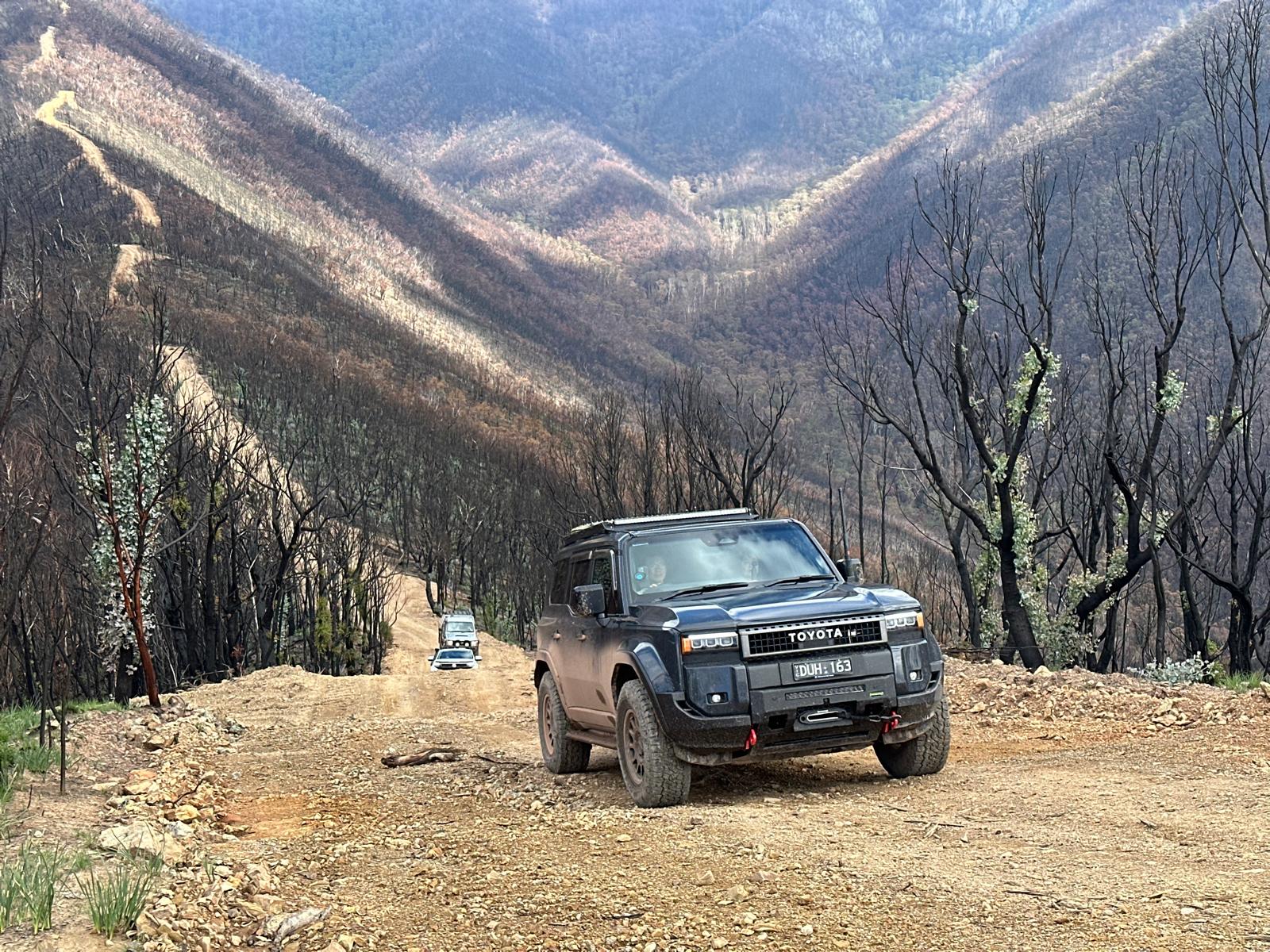 Dingo Tracks 4WD on a mountain track